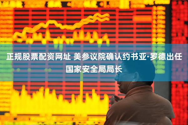 正规股票配资网址 美参议院确认约书亚·罗德出任国家安全局局长
